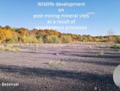 Wildlife development as a result of spontaneous processes on mineral post-mining sites
