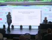 Regionalny model strukturalno-parametryczny 3D Niecki Szczecińskiej - integracja danych, metodyka i ograniczenia