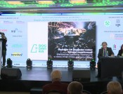 Strategia LW Bogdanka wobec wyzwań transformacji: Efektywność kosztowa i operacyjna w dobie zmian miksu energetycznego