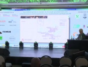 Integracja w środowisku 3D archiwalnych danych fragmentu złoża rud Zn-Pb Pomorzany