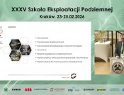 Raport o stanie górnictwa rud miedzi
