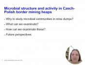 Microbial structure and activity in Czech-Polish border mining heaps