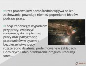 Zarządzanie stresem w KGHM Polska Miedź S.A. na przykładzie „Programu redukcji stresu” w Zakładach Górniczych Lubin