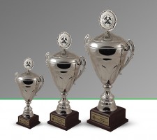 Tęgie głowy na ringu w Guido